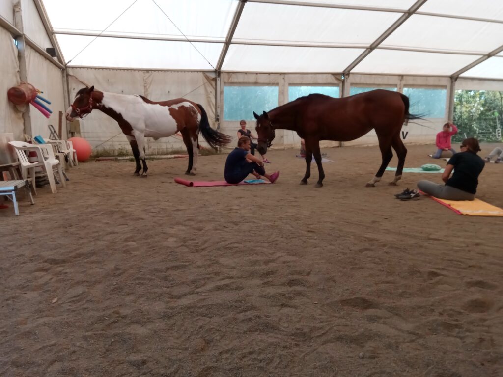 sessione di lavoro di mindfullness con i cavalli