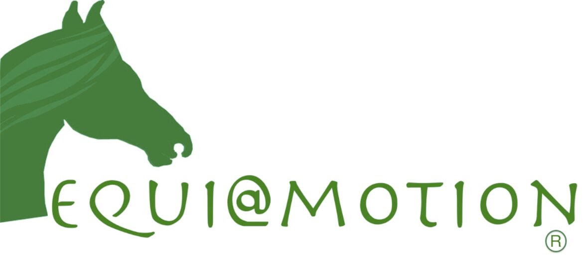Il logo di equi@motion: un modo di vedere la relazione uomo/cavallo