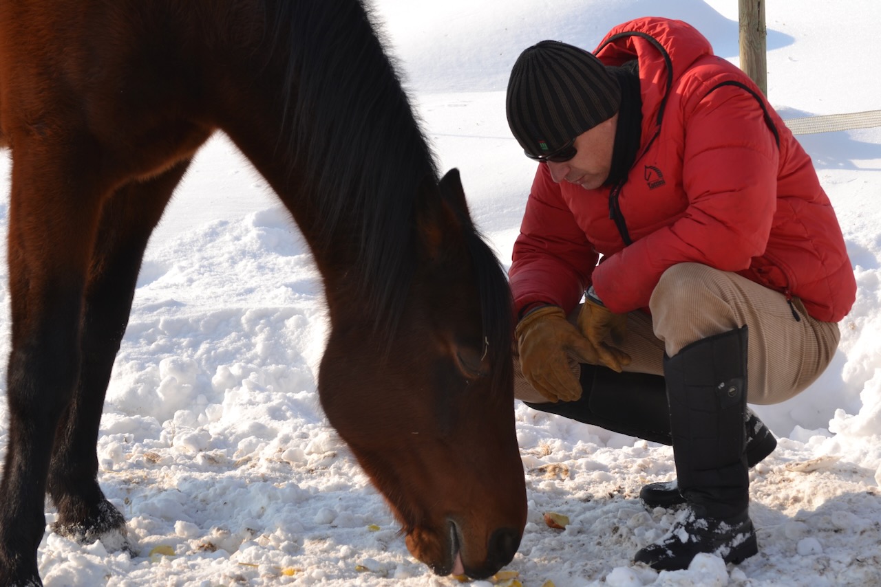 Nella neve con i cavalli